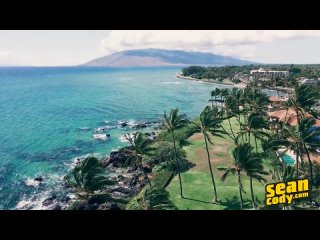 [seancody] - tropical getaway part 1 - (sumner blayne, hayden harding, paul, holden beau taylor sinn)